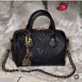 LV mini bag